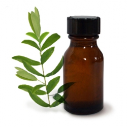 Tree tea oil - Intrebuintari in cosmetica